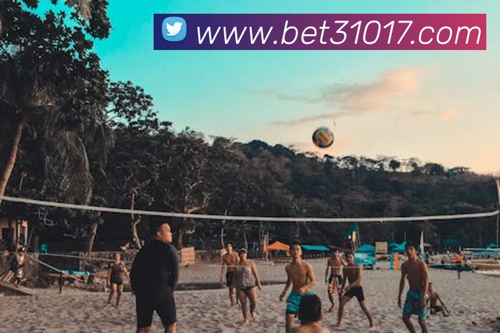 bet365com平台生态图